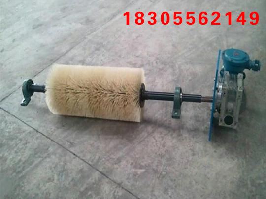 電動(dòng)輥刷清掃器